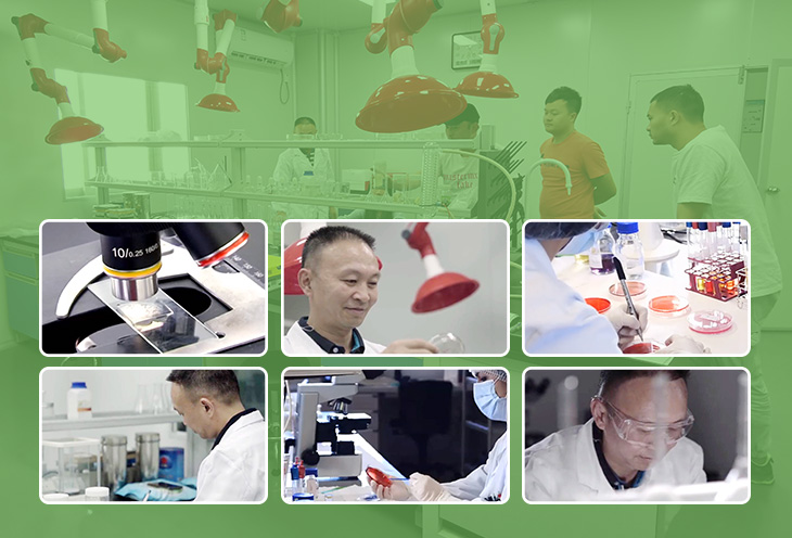 如何選擇質(zhì)量好的防霉片呢？